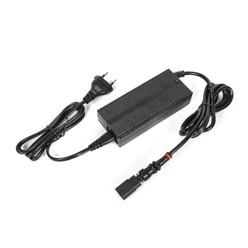 Charger complete - DFI 110V/220V SP