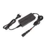 Charger complete – DFI 110V/220V SP