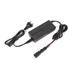 Charger complete - DFI 110V/220V SP